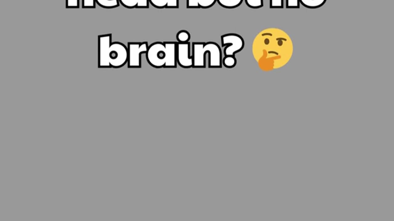 What Has a Head But No brainš¤