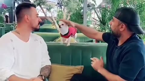 TRY NOT TO LAUGH 😆 Best Funny Videos Compilation 😂😁😆