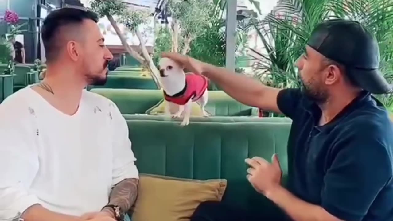 TRY NOT TO LAUGH 😆 Best Funny Videos Compilation 😂😁😆