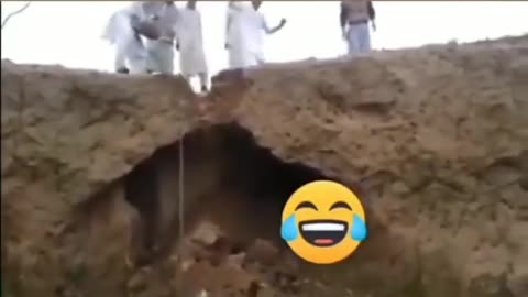 Funny Clips #57