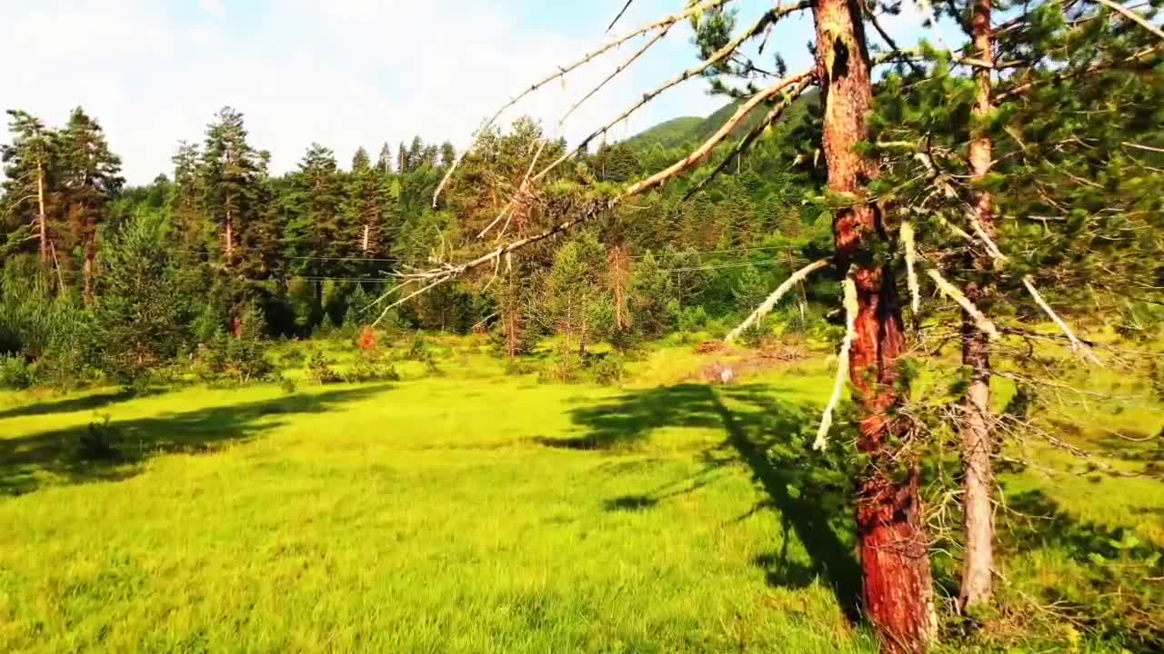 Abraham Hicks | The ONE MOVIE You Need To See | Law Of Attraction (LOA)