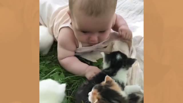 Dogs and babies are best friends, and babies and dogs fight