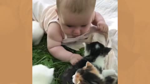 Dogs and babies are best friends, and babies and dogs fight