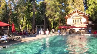 Evergreen Lodge Yosemite Amazing Pool View!
