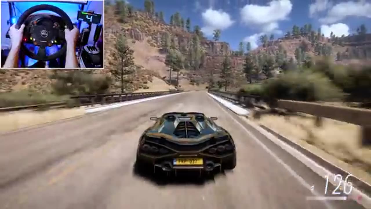 BILLIONAIRE CRUISE - Forza Horizon 5 (Steering Wheel + Shifter) Gameplay