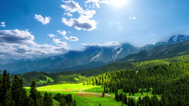 We stopped on the mountain pass to admire the scenery.