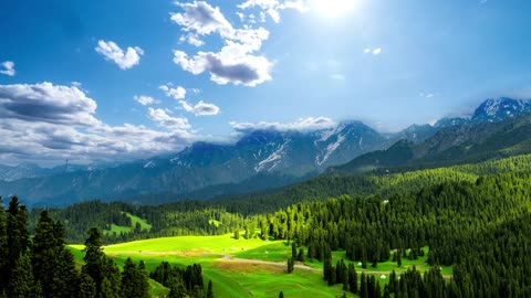 We stopped on the mountain pass to admire the scenery.