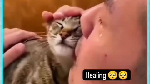 My Hooman, i love you
