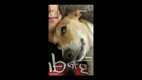 Laugh Out Loud with These Hilarious and Adorable Animals 🤣🐾