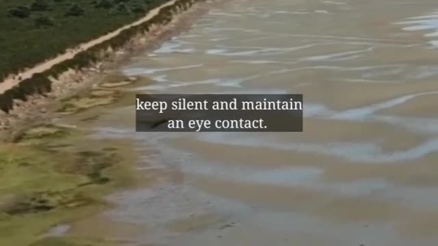 Life Hacks Video