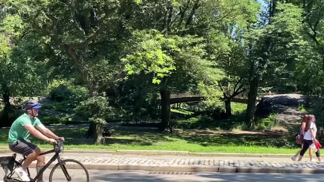 NYC 2021 - Saturday: I’m on Top of the World & Central Park