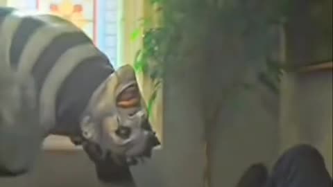 #horror #movieclipe #themime #Bestmovieclipe #horrible horrors #viralvideos #foryou