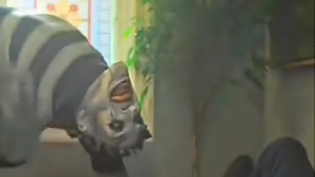 #horror #movieclipe #themime #Bestmovieclipe #horrible horrors #viralvideos #foryou
