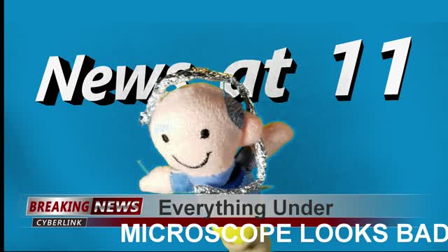Everything Under Microscope Looks Bad