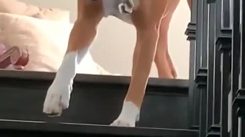 Doin a sneak (via