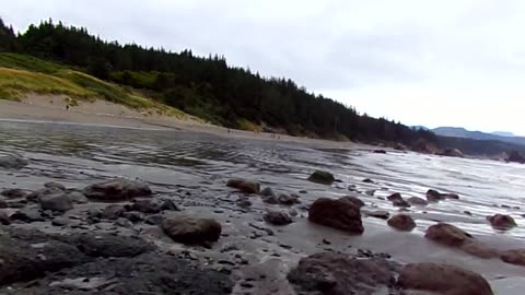 Todays walk on the beach 7/7/23: