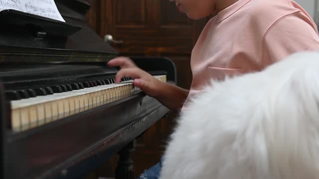 Kid using piano | and playing with dog