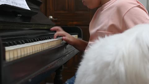 Kid using piano | and playing with dog