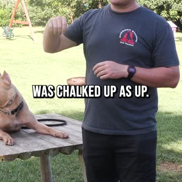 Are Pit Bull Related Deaths Inflated?