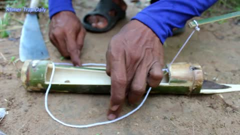 Easy Wild Cat Trap Made From Bamboo - Wild Cat Trap Installation Technique Khmer Trap Daily