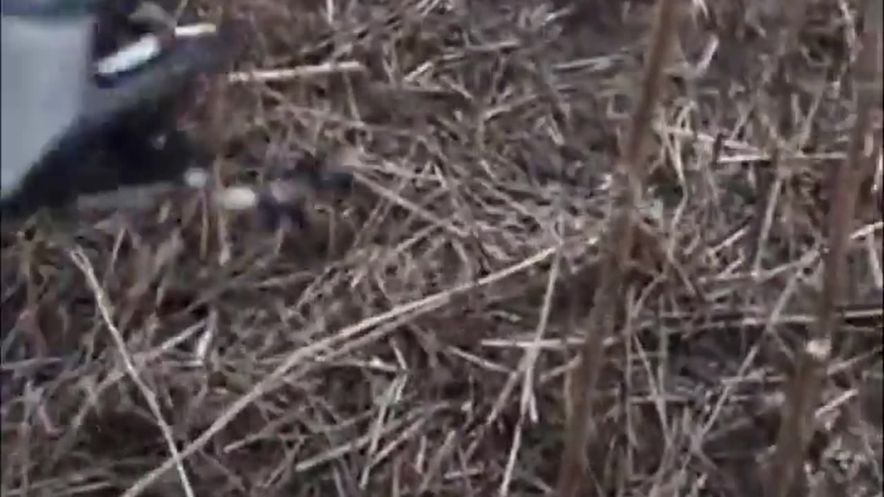 🔧🇺🇦 Ukraine Russia War | Ukrainian Soldier Disassembles Sudoplatov Drone | RCF