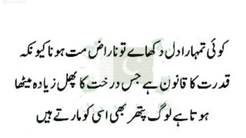 Best urdu Quotes