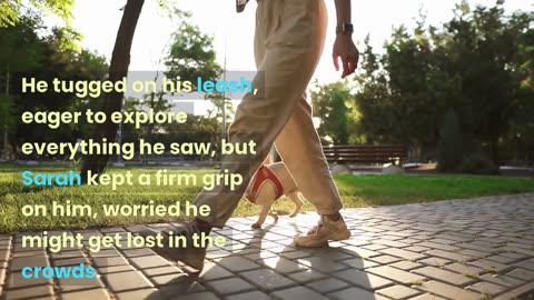 dog video, dog story, dog funny video