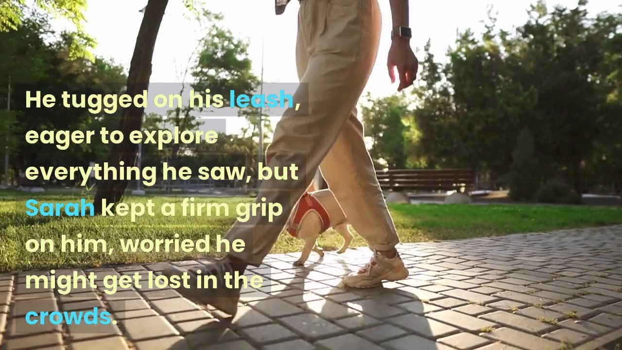 dog video, dog story, dog funny video