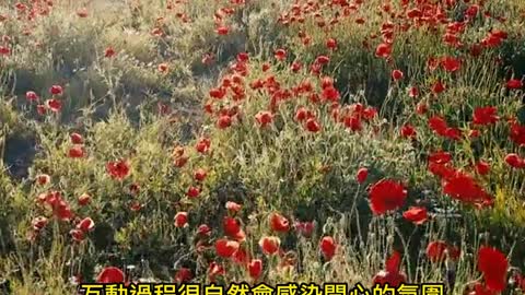 植物療癒！ 養花蒔草有益心理健康