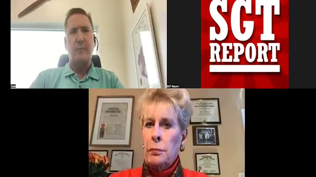 SGT Report WHO WILL STOP THE TRAITORS? -- Todd Callender & Dr. Lee Vliet