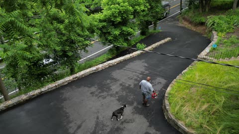 Drone footage of Black and White Boxer fighting the blower. 6/9/2023