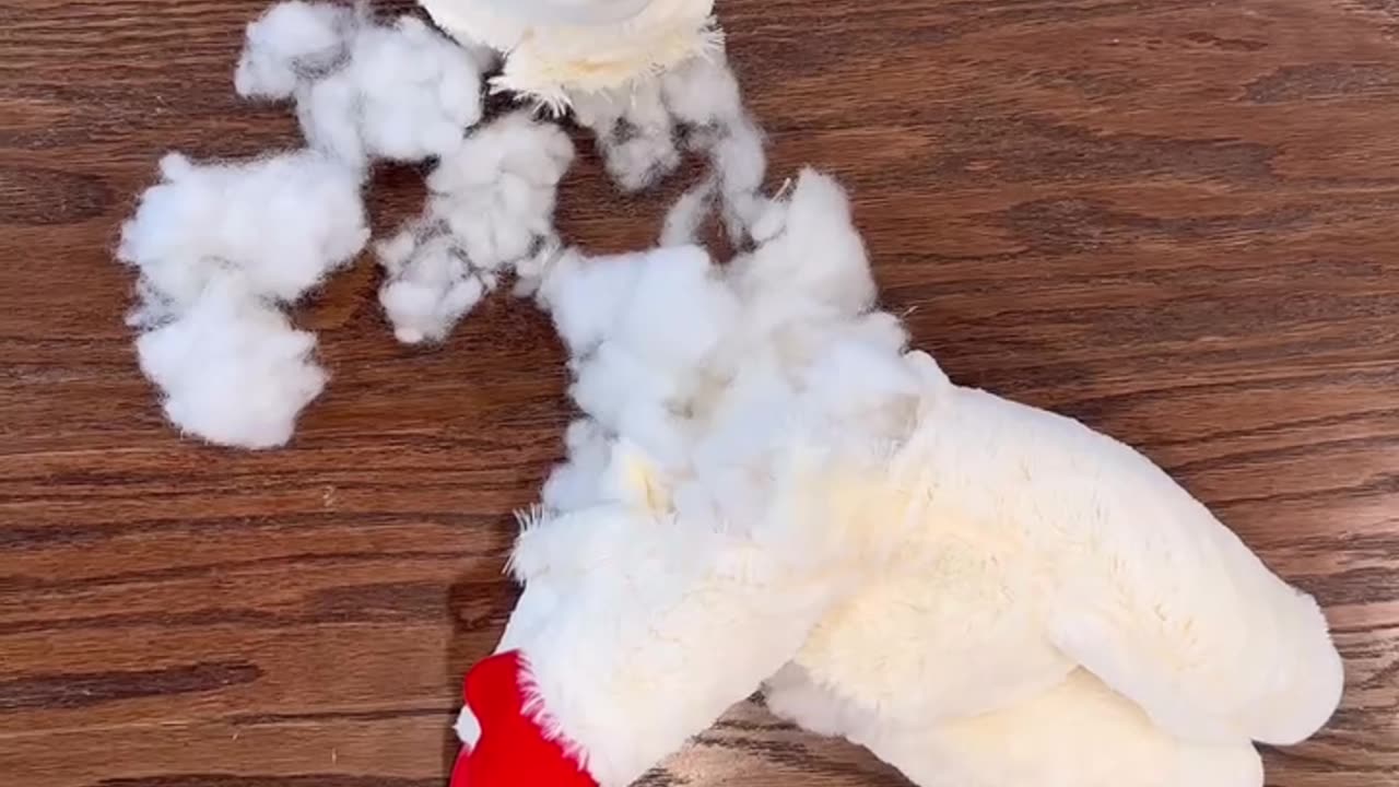 A lamp chop toy is retired daily.