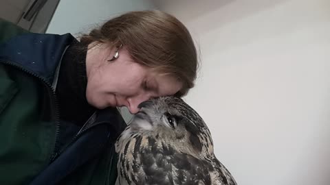 Owl Kisses