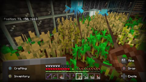 Minecraft 1.19 Survival Let's play Ep 11 Part 3: The Escape Artist: