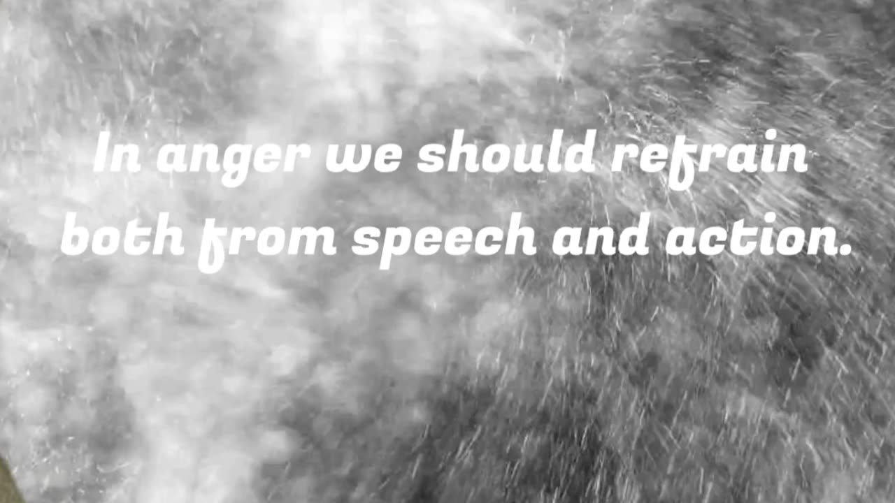 Quotes