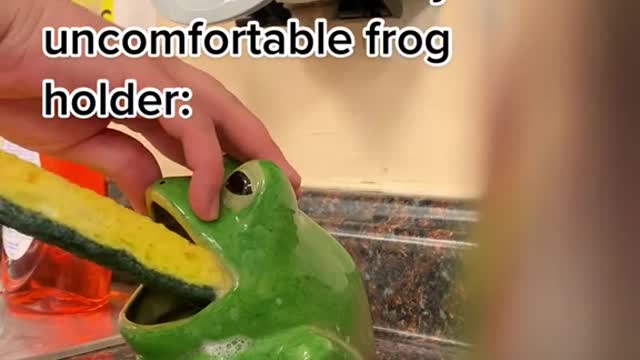 TASHme putting a sponge back in this minorly uncomfortable frog holder:
