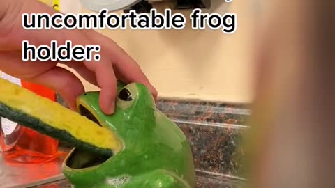 TASHme putting a sponge back in this minorly uncomfortable frog holder: