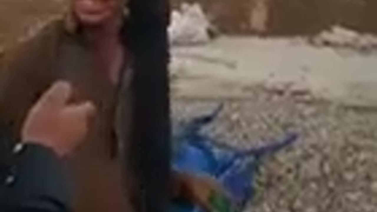 Funny abuse 😂😂😂😂😂 Imran Khan