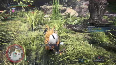 Monster Hunter World Part 29- The Pickle