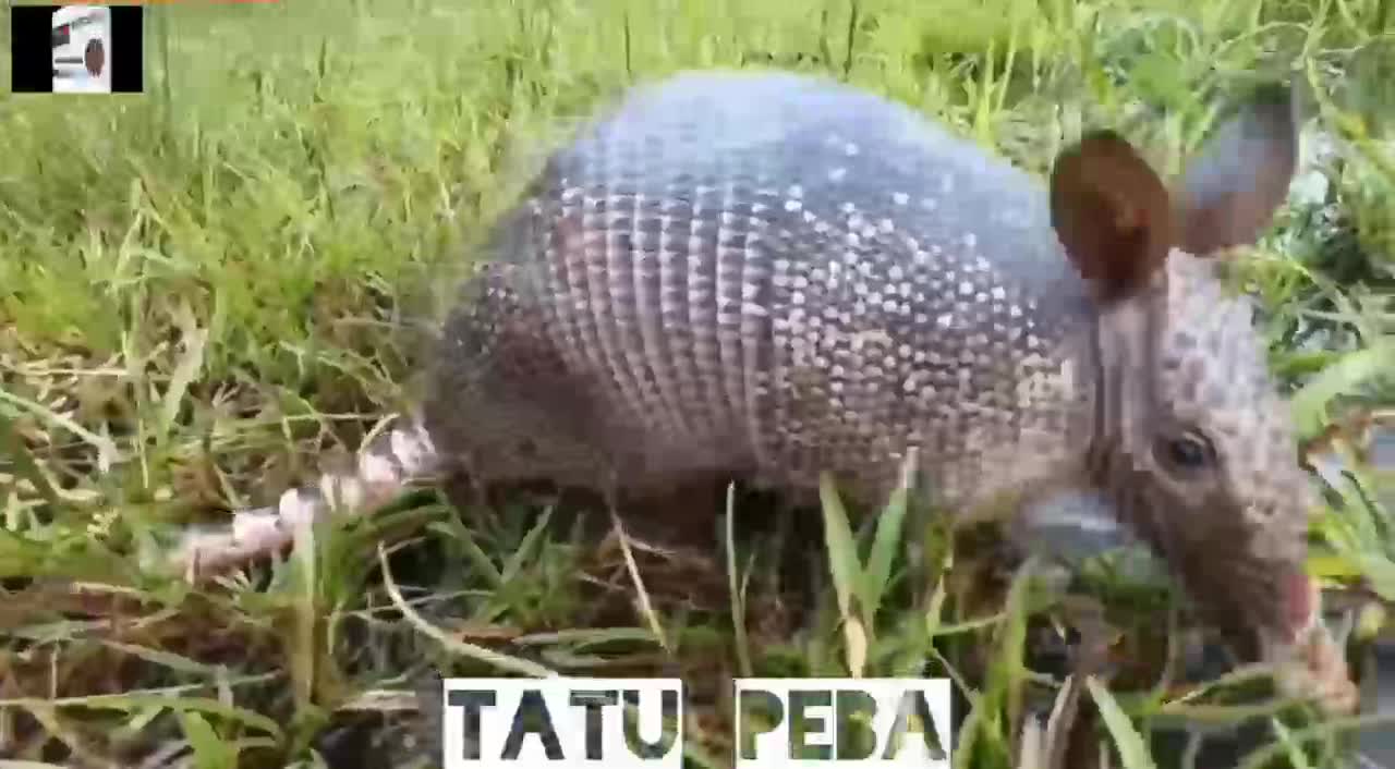 A natureza é realmente incrível