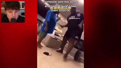 Mouse Prank