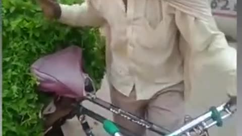 Funny videa