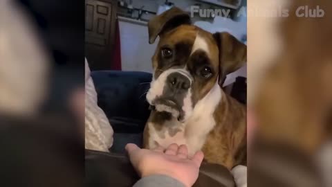New funny videos 2023🤣😂Cutest People