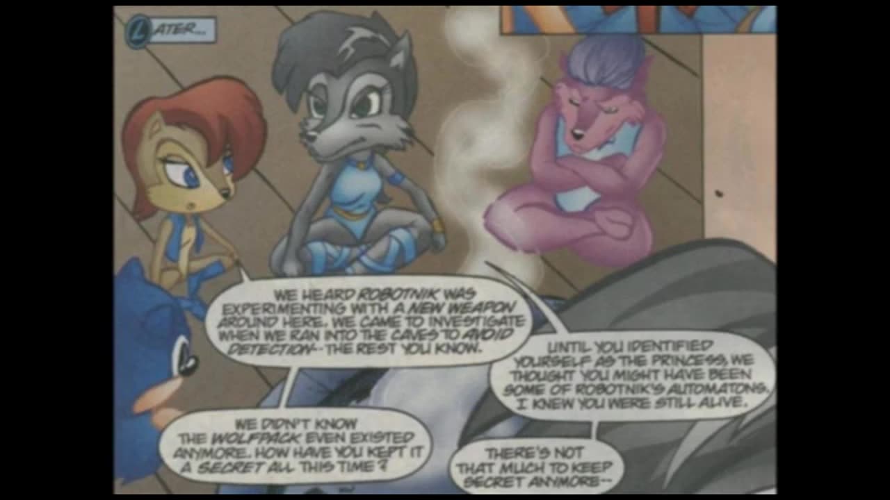 Newbie's Perspective Sonic Comic Issue 113 Review