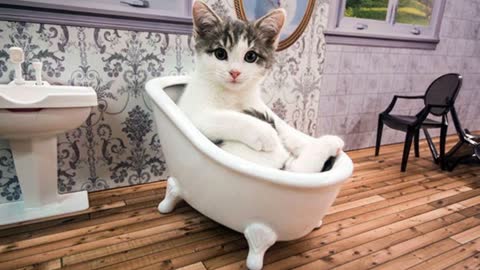 Local News Site In Iceland Creates Reality Show Keeping Up With The Kattarshians 😃