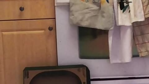 I guess it belongs on the ground