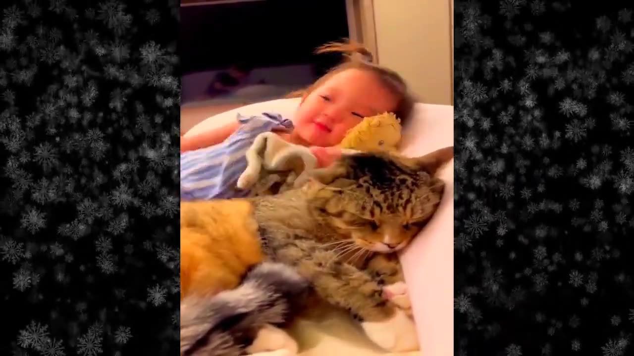 2024's Funniest Cats & Dogs Videos - New Funny Videos