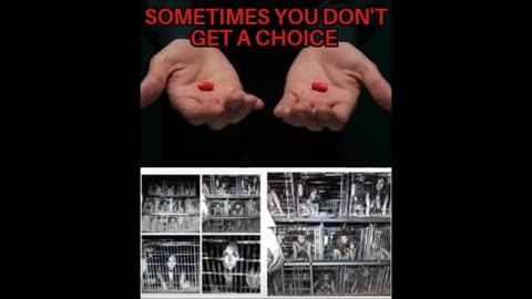 Cages
