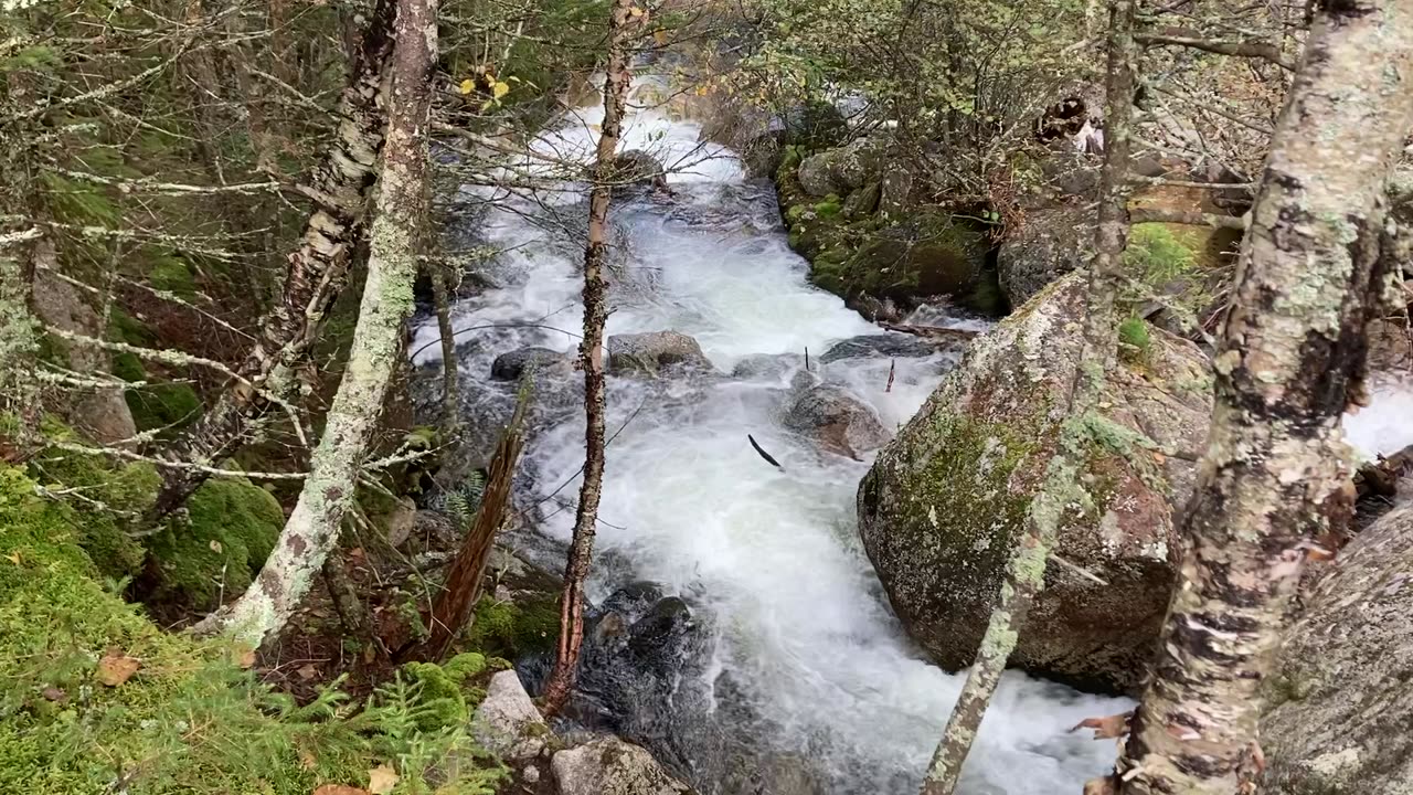 Hunt Trail to Baxter Peak/Mt. Katahdin (Appalachian Trail/100 Mile Wilderness, Maine) 2