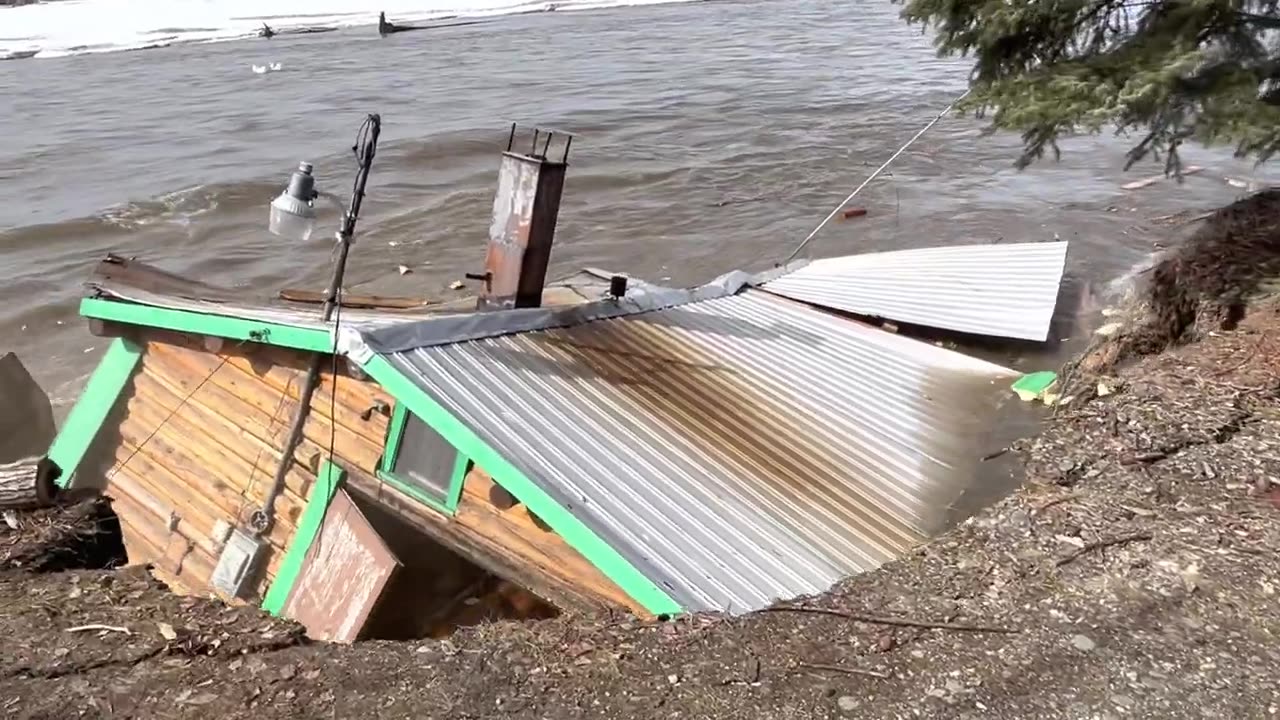 Old cabin crumbles into tanana River || WashingtonClub001